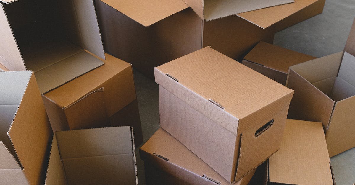 Understanding Demographic Segmentation for Email Campaigns